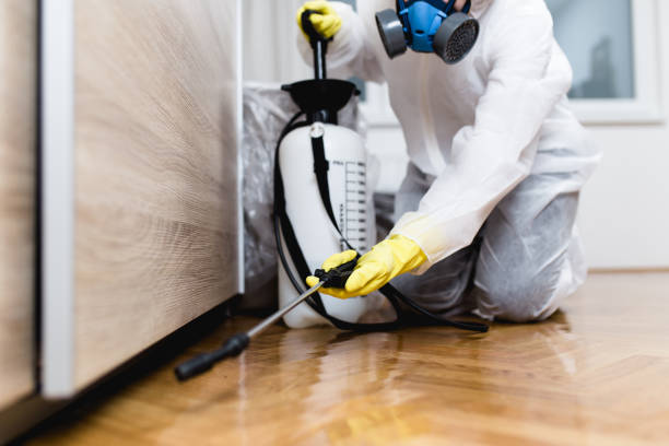 Best Termite Control Services  in Rosemount, MN