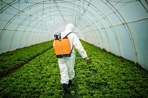 Best Affordable Pest Control Services  in Rosemount, MN