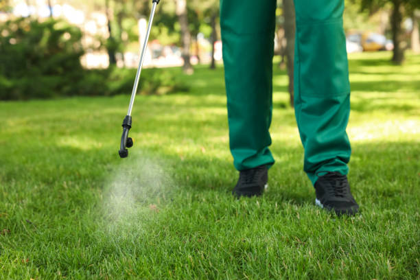 Best Bed Bug Extermination  in Rosemount, MN