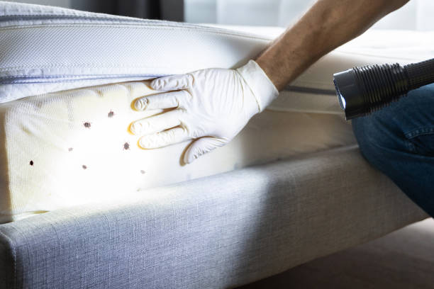 Best Best Pest Control Companies  in Rosemount, MN