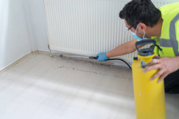 Best Cockroach Control Services  in Rosemount, MN